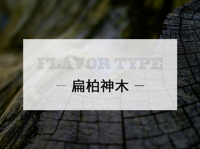 扁柏神木/Cypress sacred tree